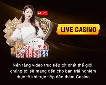 Các loại dữ liệu cá nhân được vu88 casino thu thập và xử lý an toàn